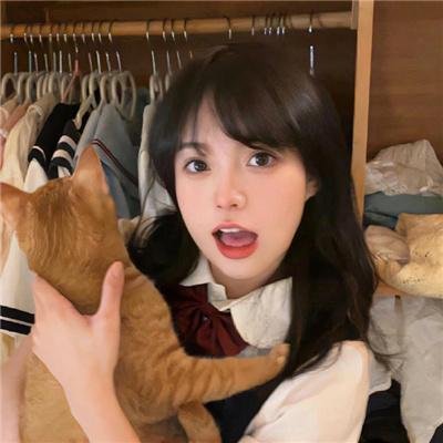 猛龙特囧